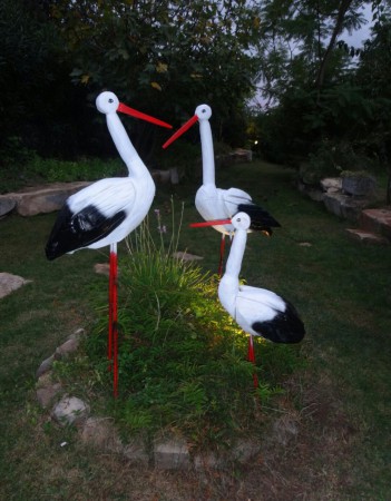 Stork Family / Familia de Cegonhas